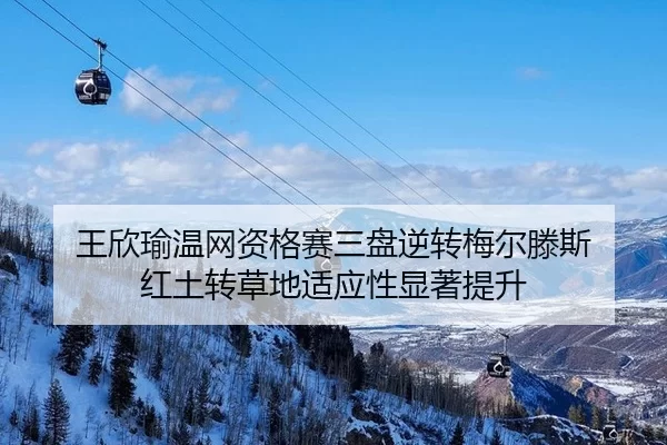 wang-xin-yu-wen-wang-zi-ge-sai-san-pan-ni-zhuan-mei-er-teng-si-hong-tu-zhuan-cao-di-shi-ying-xing-xian-zhu-ti-sheng-2-820.jpg