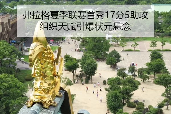 fu-la-ge-xia-ji-lian-sai-shou-xiu-fen-zhu-gong-zu-zhi-tian-fu-yin-bao-zhuang-yuan-xuan-nian-2-591.jpg