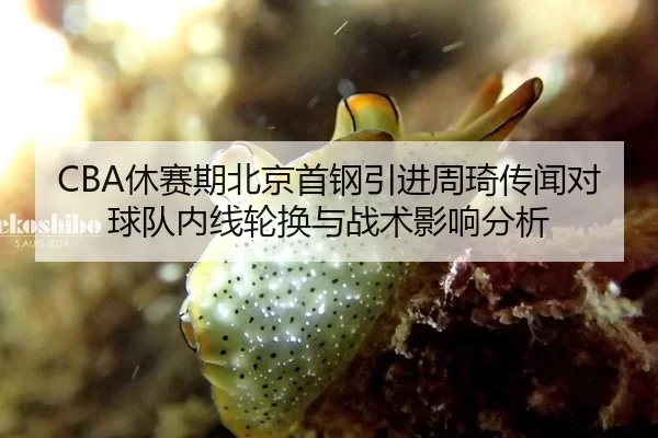 CBA休赛期北京首钢引进周琦传闻对球队内线轮换与战术影响分析