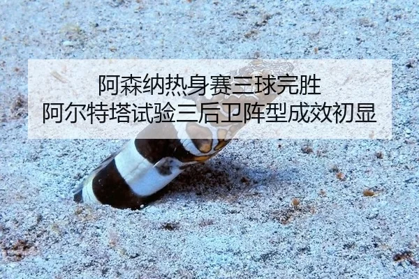 阿森纳热身赛三球完胜 阿尔特塔试验三后卫阵型成效初显